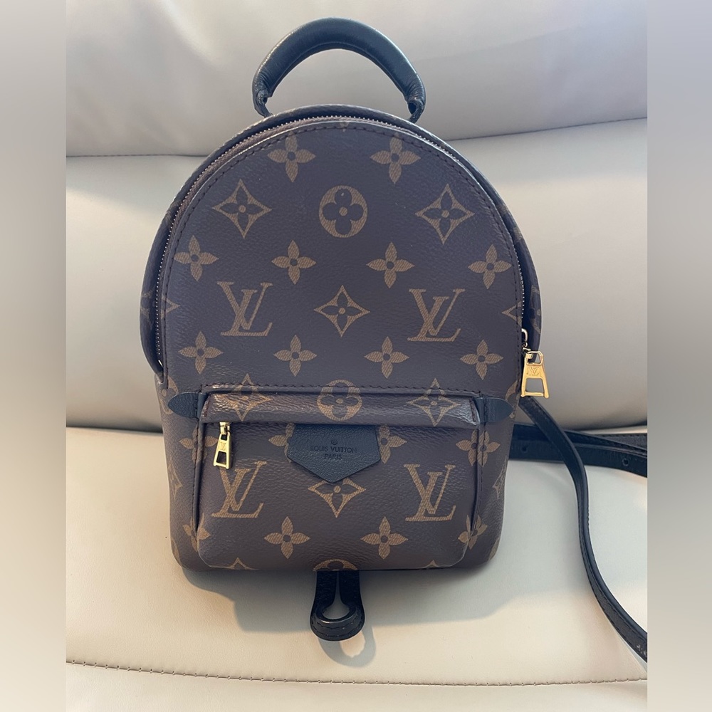 Louis Vuitton Palm Springs Mini Backpack